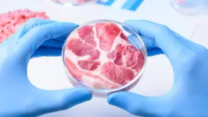Carne de laboratório pode ser considerada vegana? O que diz a ciência?