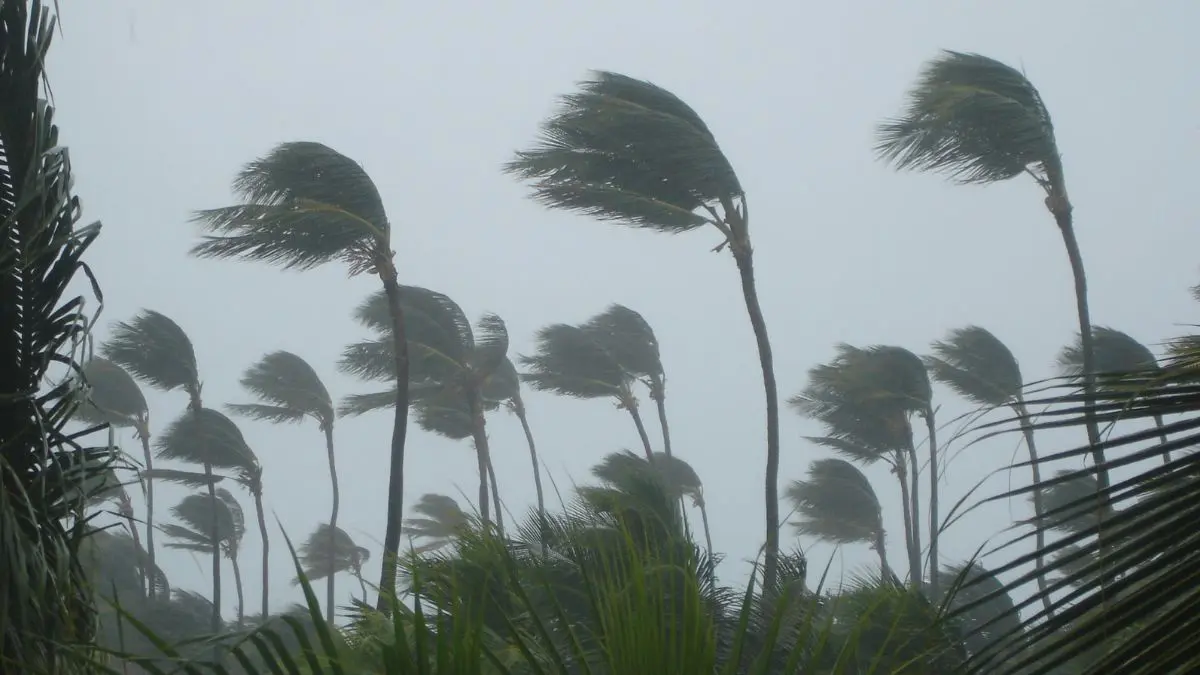 Você lembra do Ciclone-Bomba no Brasil em 2020? Relembre como foi Um novo Ciclone-Bomba não prova sozinho uma tendência climática. O sinal aparece quando décadas de observações começam a revelar mudanças persistentes.