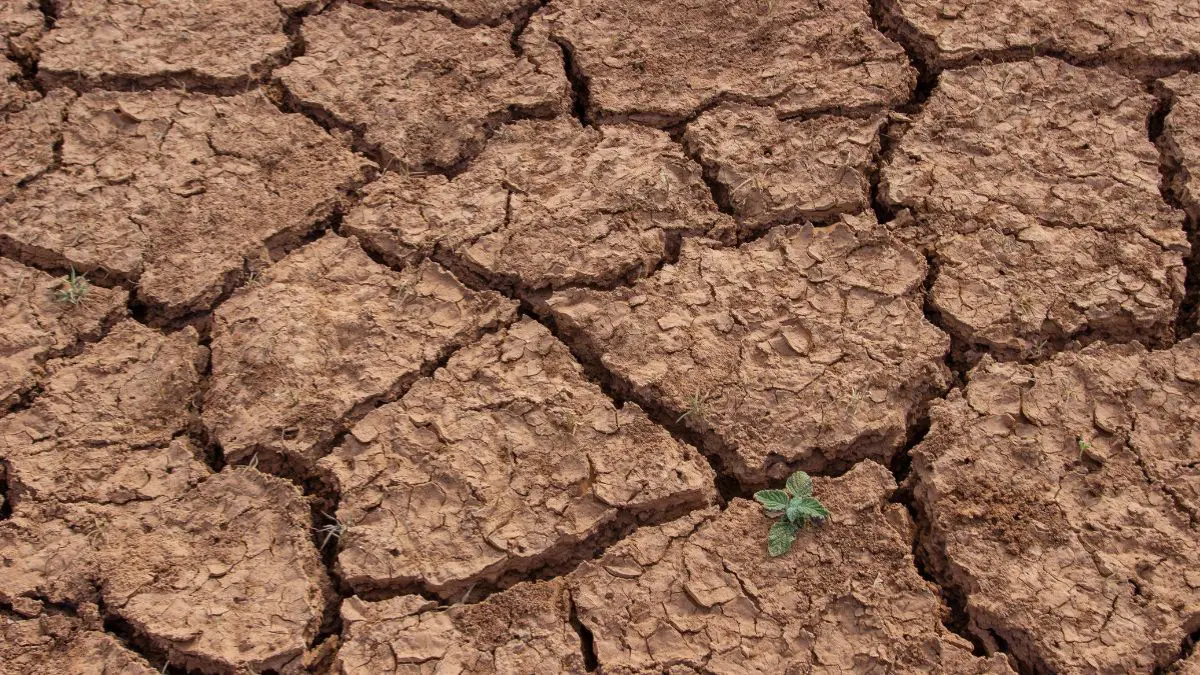 O Mega El Niño não cria o aquecimento global, mas pode funcionar como um acelerador temporário sobre um planeta que já está mais quente.