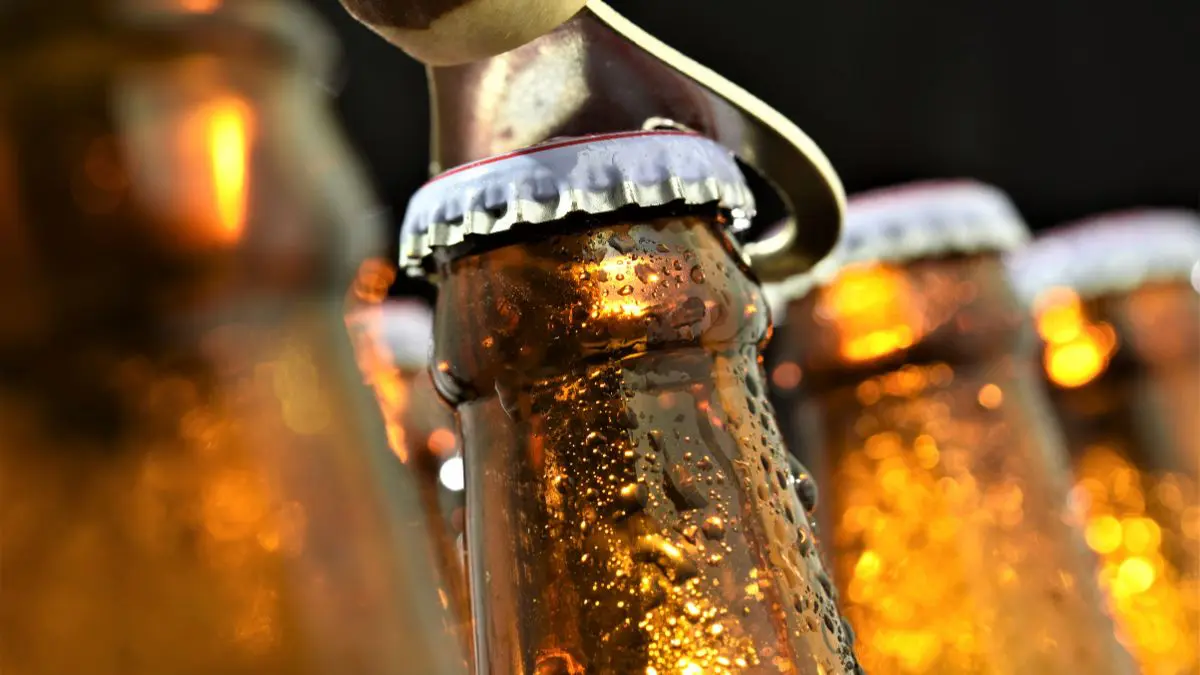 Tecnologias, impérios, religiões e fronteiras mudaram profundamente ao longo dos últimos milênios. A cerveja continuou reaparecendo de uma forma ou de outra.
