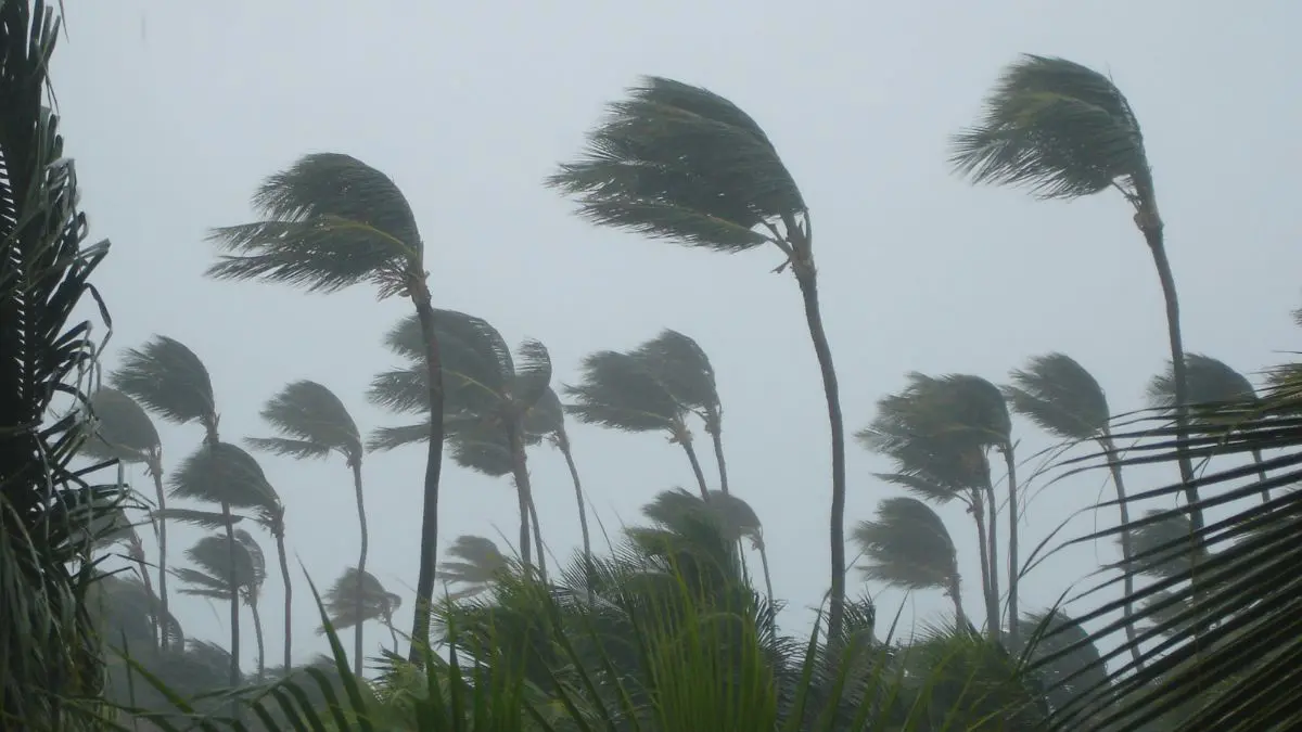 O que é ciclone bomba? Entenda o fenômeno que pode atingir o Sul do Brasil O perigo não está no nome “bomba”, mas na rapidez com que o sistema pode se intensificar e provocar mudanças severas no tempo.