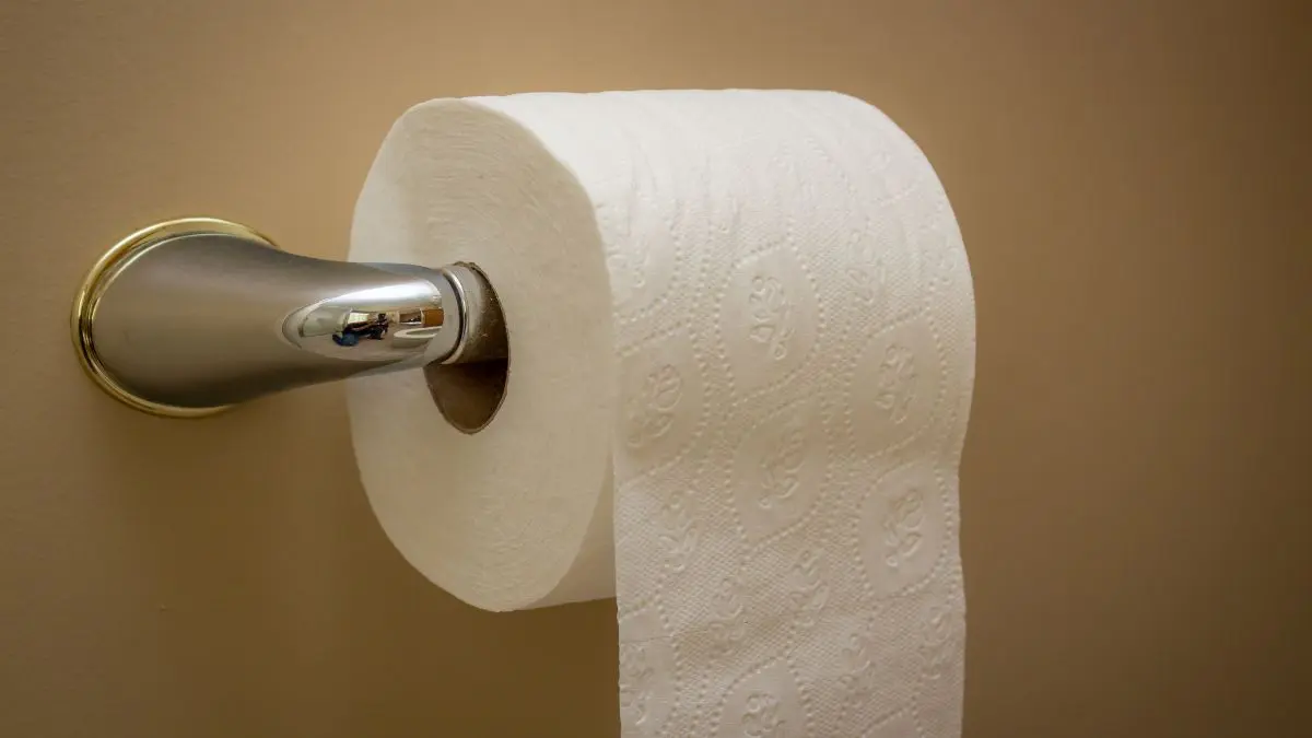 O que as pessoas de antigamente utilizavam antes do papel higiênico? Antes do papel higiênico, não existia uma solução universal. A higiene era determinada principalmente pelo ambiente, pela cultura e pelos recursos disponíveis.