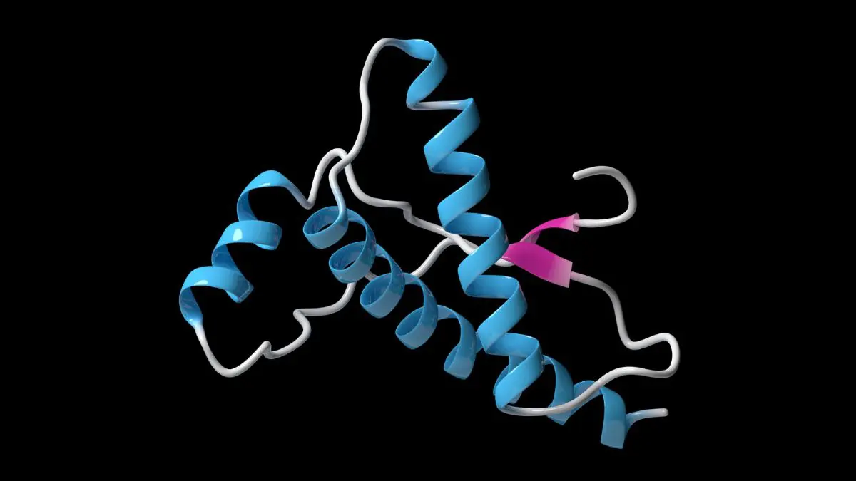 Os príons mostram que uma informação biológica não está apenas nos genes. Ela também pode estar escondida no formato tridimensional de uma proteína.