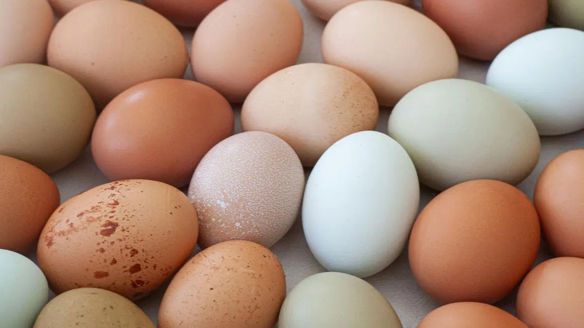 O consumidor não está comprando apenas o alimento. Em muitos casos, está comprando também o tempo que deixou de gastar preparando aquilo.