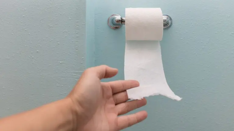 Papel higiênico deve ser última opção. 95% da população faz errado