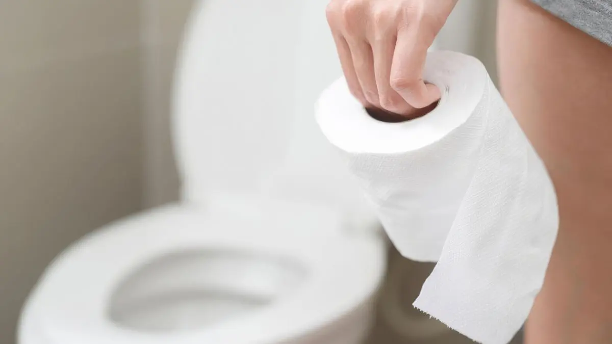 O café contém centenas de compostos biologicamente ativos, incluindo ácidos clorogênicos e outras substâncias capazes de interagir com o sistema gastrointestinal