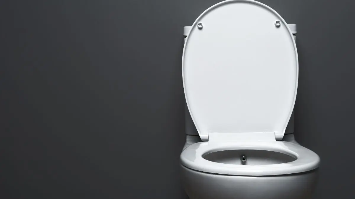 Para muita gente, o celular substituiu revistas e jornais que antigamente ficavam ao lado do vaso sanitário