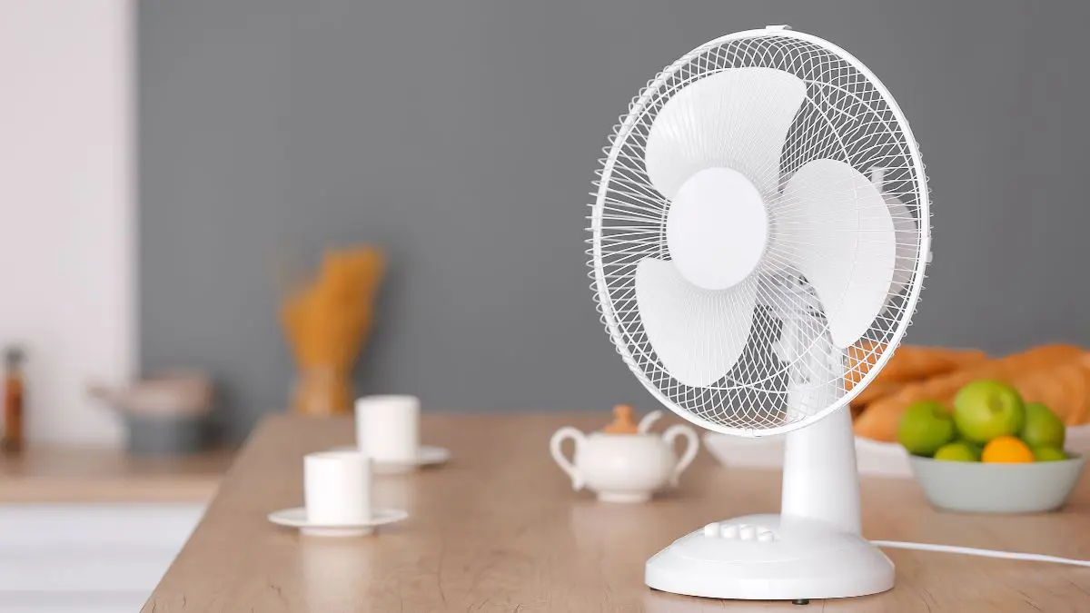 Ventilador, climatizador ou ar-condicionado: qual escolher para a sua casa? O verdadeiro custo de um aparelho não está apenas na etiqueta da loja. Ele também aparece todos os meses na conta de energia e nos gastos de manutenção.