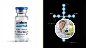 Após mais de 20 anos de pesquisa, começam testes clínicos com polilaminina