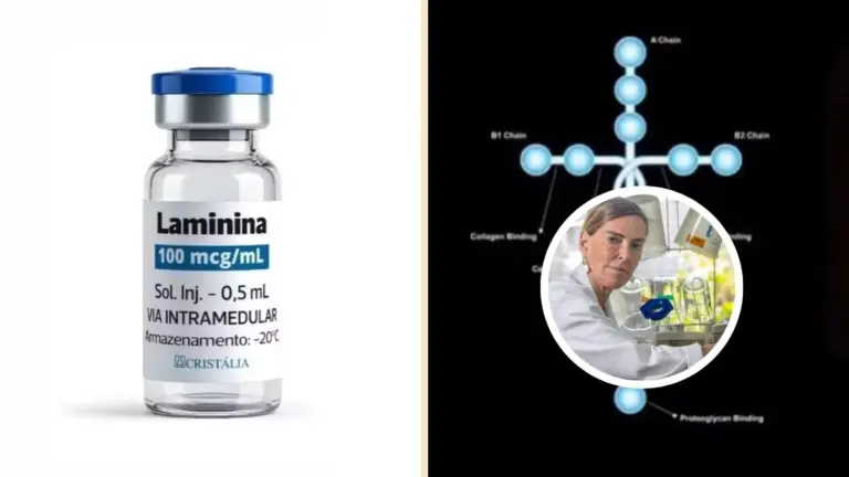 Após mais de 20 anos de pesquisa, começam testes clínicos com polilaminina