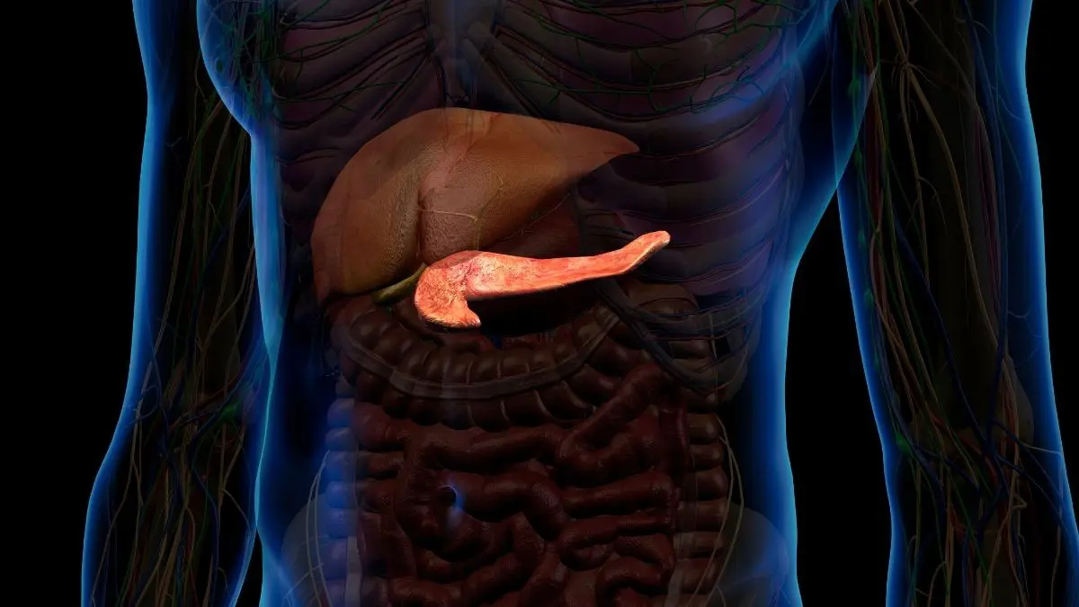 A tecnologia representa um avanço promissor para o tratamento do diabetes tipo 1, doença na qual o sistema imunológico destrói as células beta do pâncreas