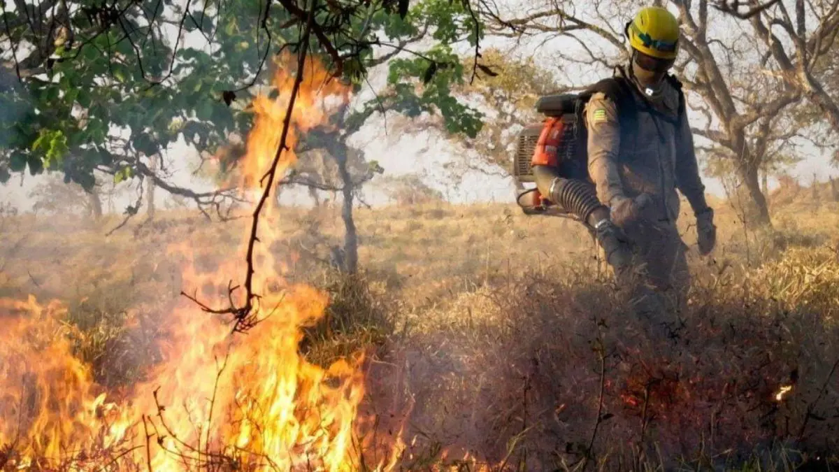 Dizer que o Cerrado convive com o fogo n&atilde;o significa afirmar que toda queimada seja natural, necess&aacute;ria ou inofensiva.