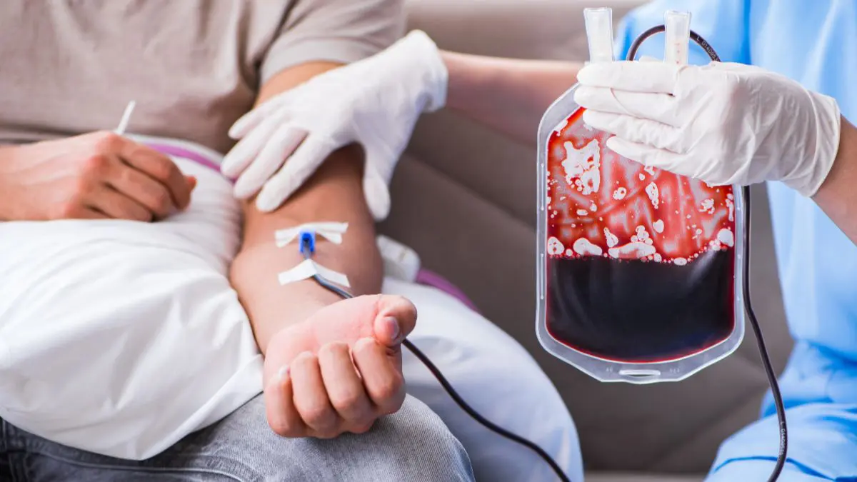 A nova orienta&ccedil;&atilde;o n&atilde;o libera o sangue total, mas transforma o uso de seus principais componentes em uma decis&atilde;o pessoal de consci&ecirc;ncia.