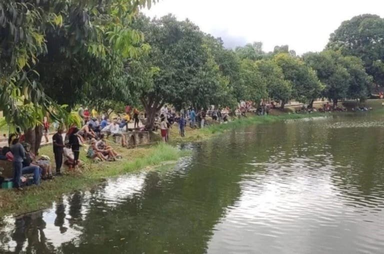 1 milhão de peixes! Prefeitura de Trindade libera 1 tonelada de peixes para a população pescar