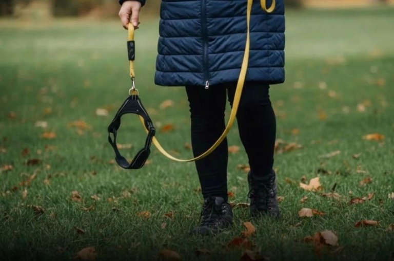 A tendência curiosa de passear com cães invisíveis na Alemanha