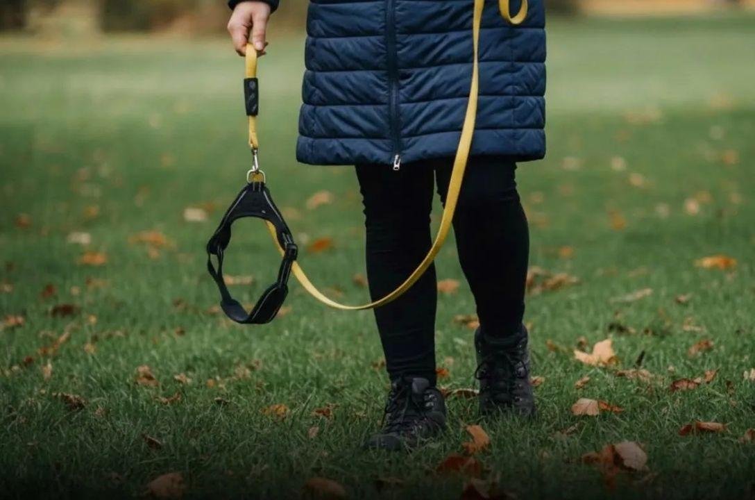 A tendência curiosa de passear com cães invisíveis na Alemanha