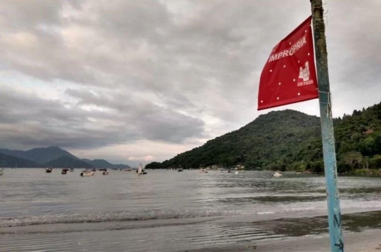 Bactéria devoradora de carne encontrada em Ubatuba - Entenda: