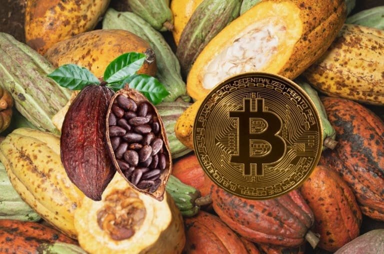 Cacau supera o Bitcoin em 2024 e café promete ser o próximo!