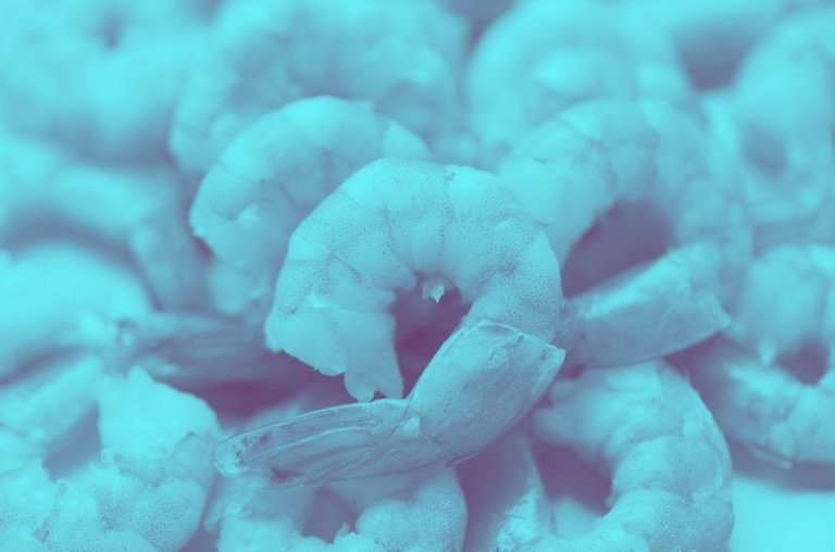 Camarões nos EUA podem estar contaminados com Césio-137