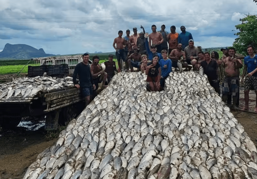 Casal do Espírito Santo Pesca 3 Toneladas de Peixes e Doa para Comunidade Carente