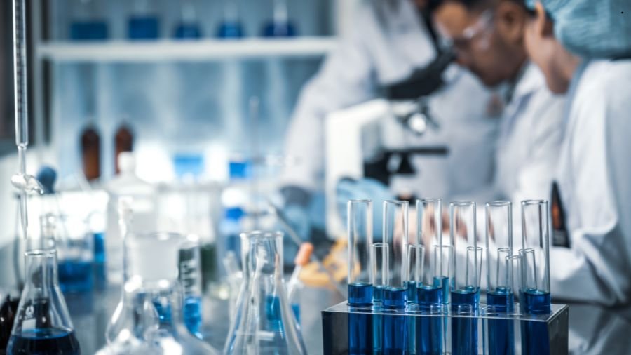 Cientistas testam bactéria que pode se alimentar do câncer o conceito já é considerado promissor dentro de uma nova geração de tratamentos personalizados e direcionados