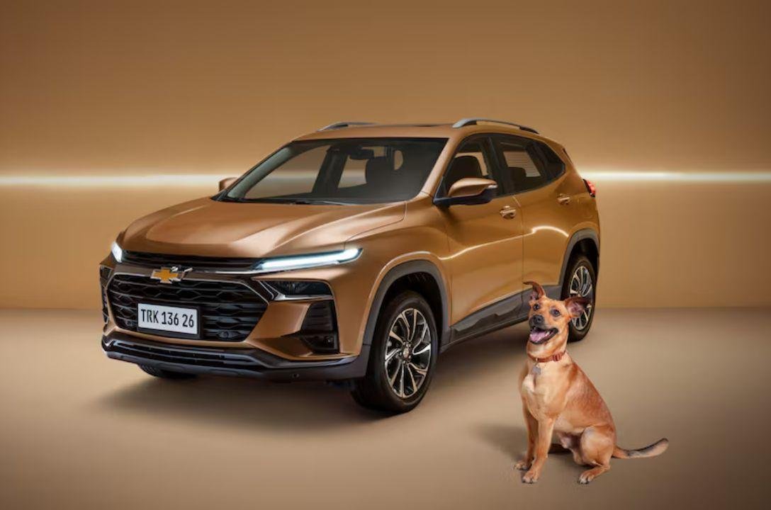 Chevrolet homenageia cães caramelo com 'Tracker Caramelo'