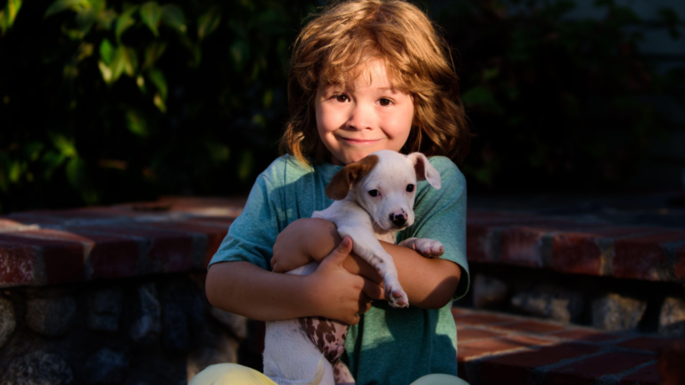 Cidade na Itália tem mais cachorros que crianças