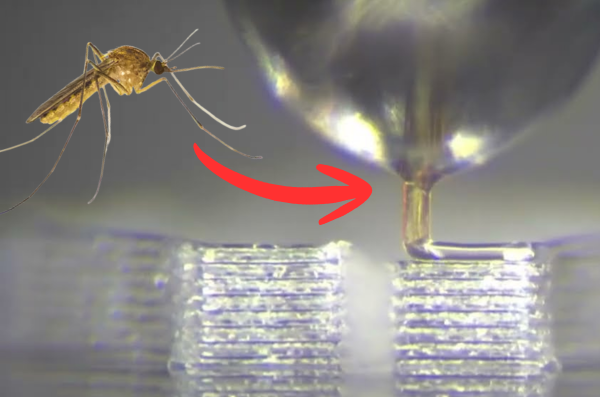 Cientistas conseguem usar "ferrão" de mosquito para impressão 3d