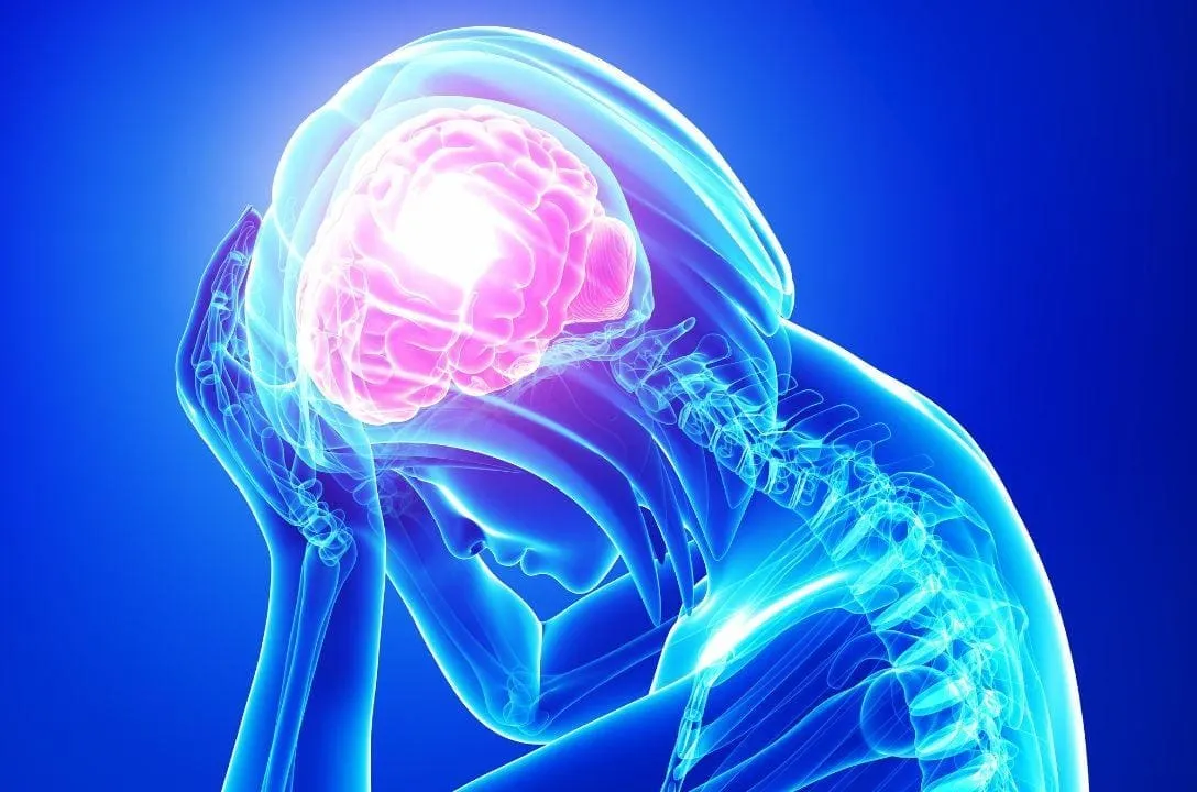 cientistas descobrem botao cerebral que desliga a ansiedade 5e40c