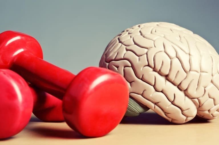 Como o exercício estimula a neurogênese