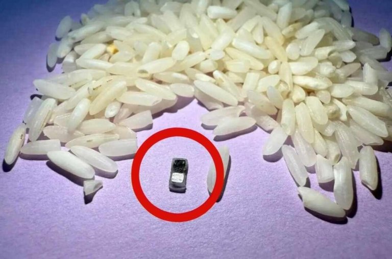 Conheça o marcapasso do tamanho de arroz que dissolve no corpo