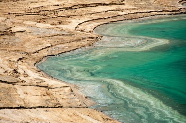 Descoberta surpreendente de vida aquática no Mar Morto deixa cientistas intrigados