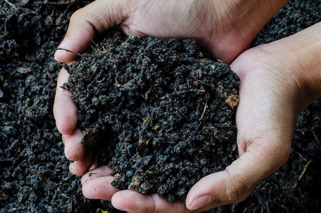 Desvendando os Mistérios da Terra Preta e seu Papel na História e Sustentabilidade