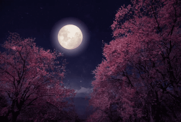 Desvendando os Mistérios Lunares: O que é Lua de Sangue, Lua Azul e Lua ...