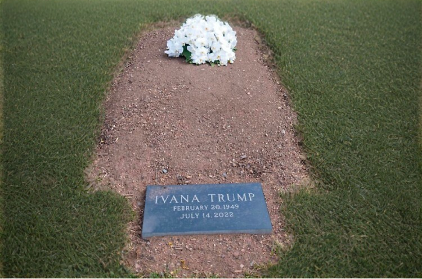 Donald Trump enterrou sua ex-esposa em campo de golfe para driblar impostos?