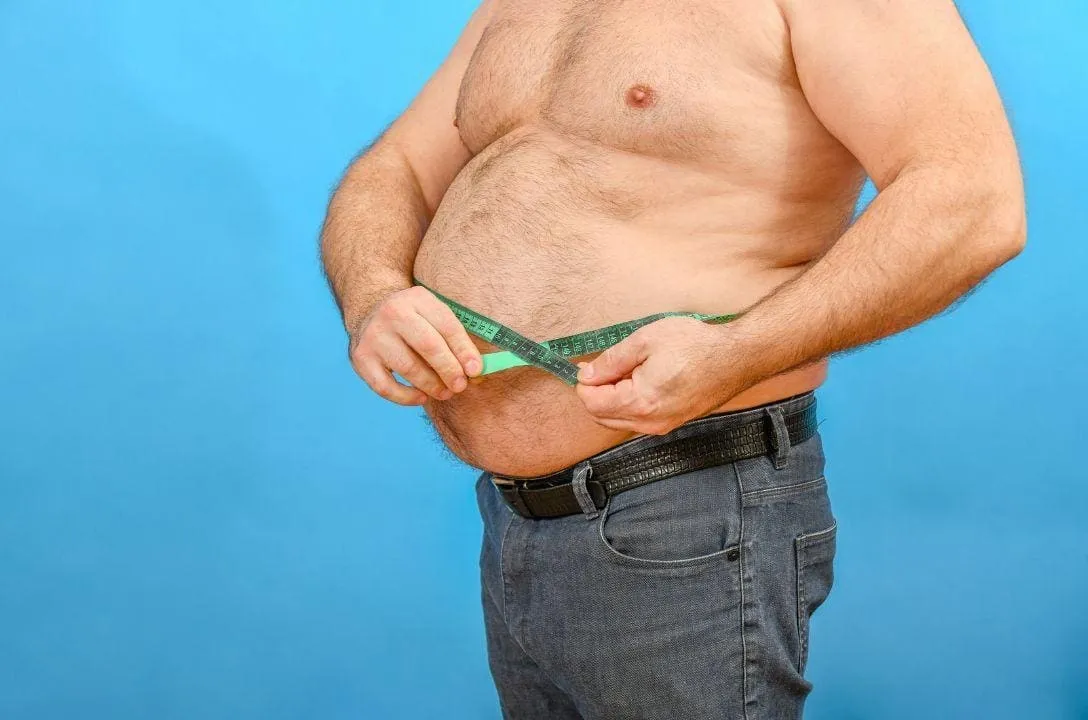 efeito sanfona estudo mostra que obesidade tem memoria nas celulas b00ed