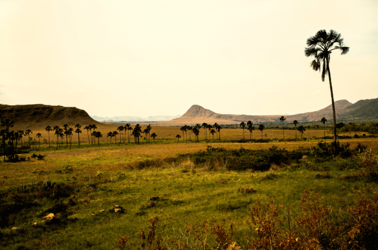 Encantos do cerrado goiano: Três destinos para você aproveitar
