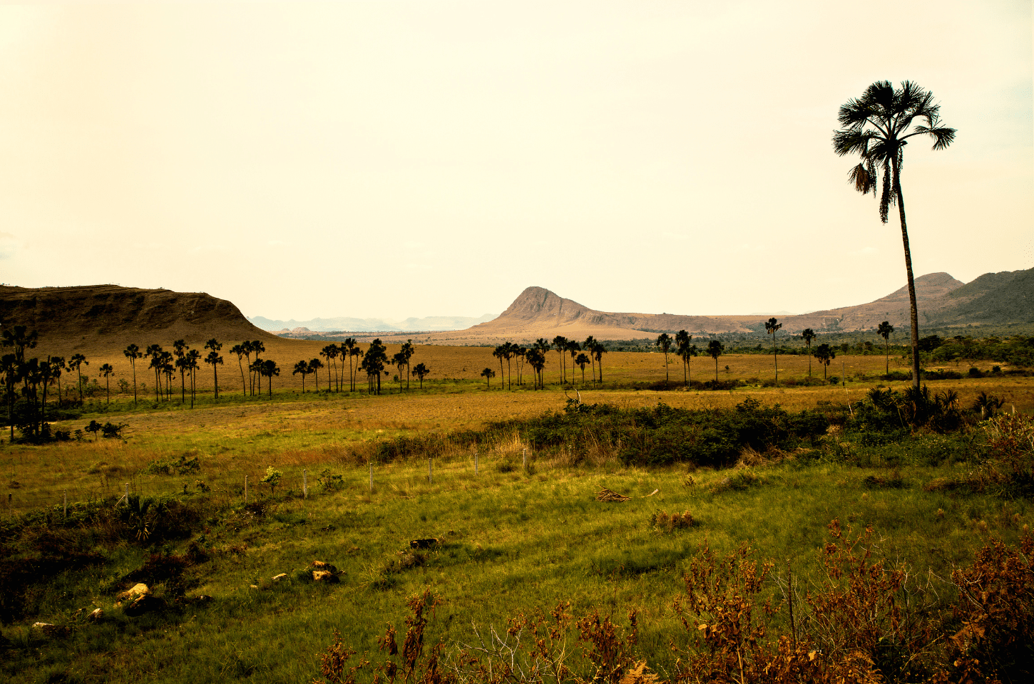 Encantos do cerrado goiano: Três destinos para você aproveitar