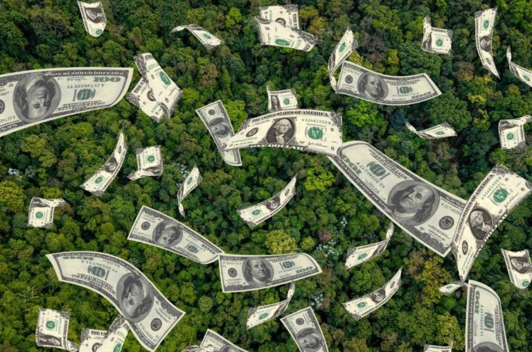 Entenda a fraude envolvendo o Banco Master e créditos de carbono