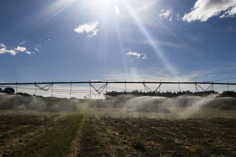 Entenda como ficam as exportações agrícolas após acordo Mercosul-UE