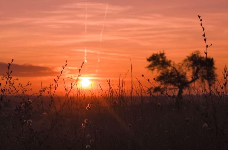 Equinócio de primavera é hoje. Dia e noite terão a mesma duração