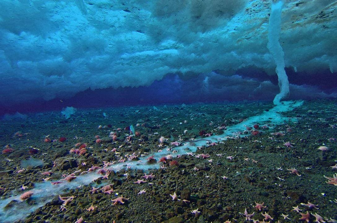 Fenômeno conhecido como "Dedo da Morte" congela tudo ao seu redor