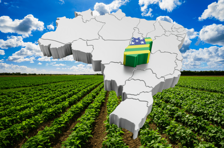 Goiás lidera Ranking Nacional de Potencial de Mercado, superando São Paulo e outros estados