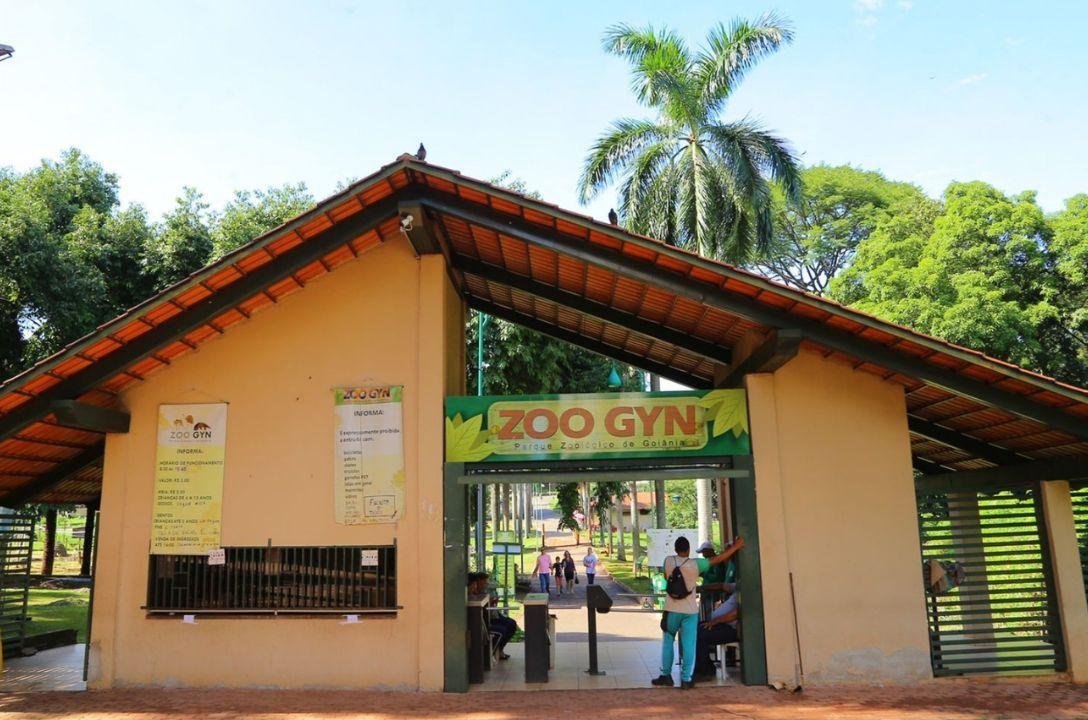 Gripe aviária em Goiânia? Cisne negro levantou o alerta