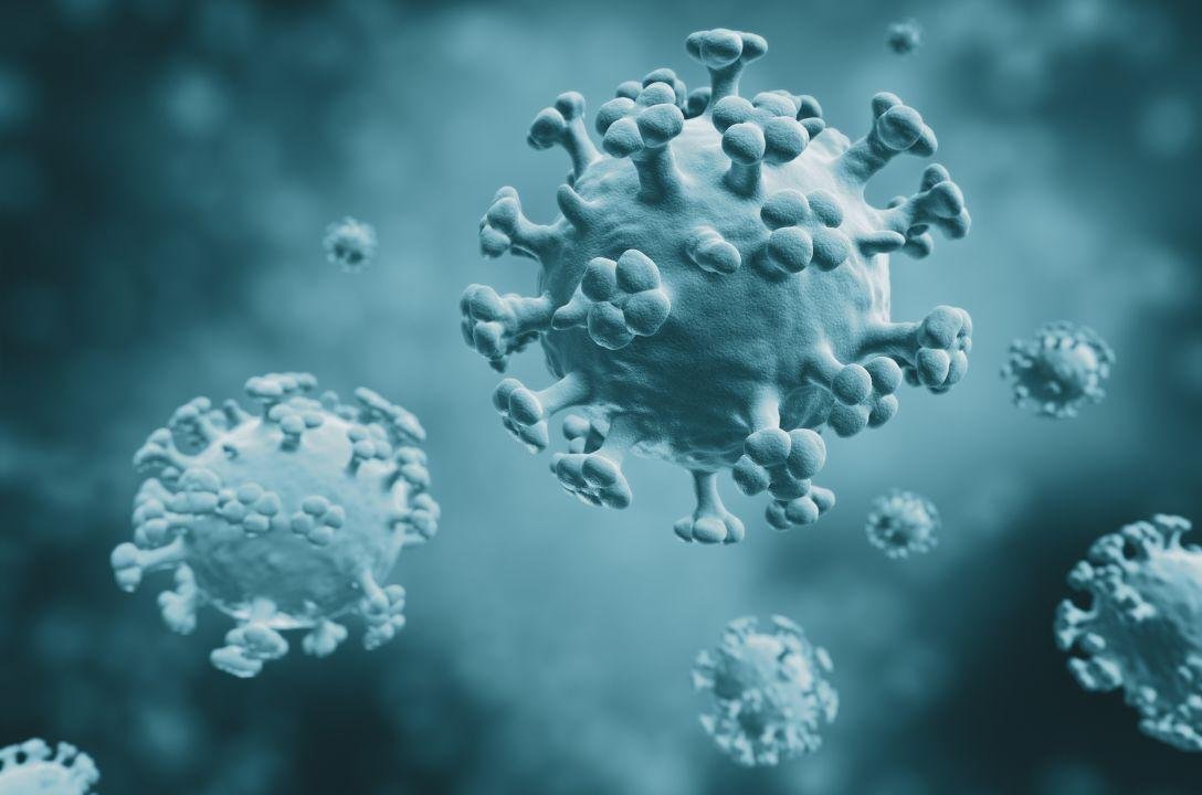 Gripe aviária H9N2 é silenciosa e potencialmente perigosa