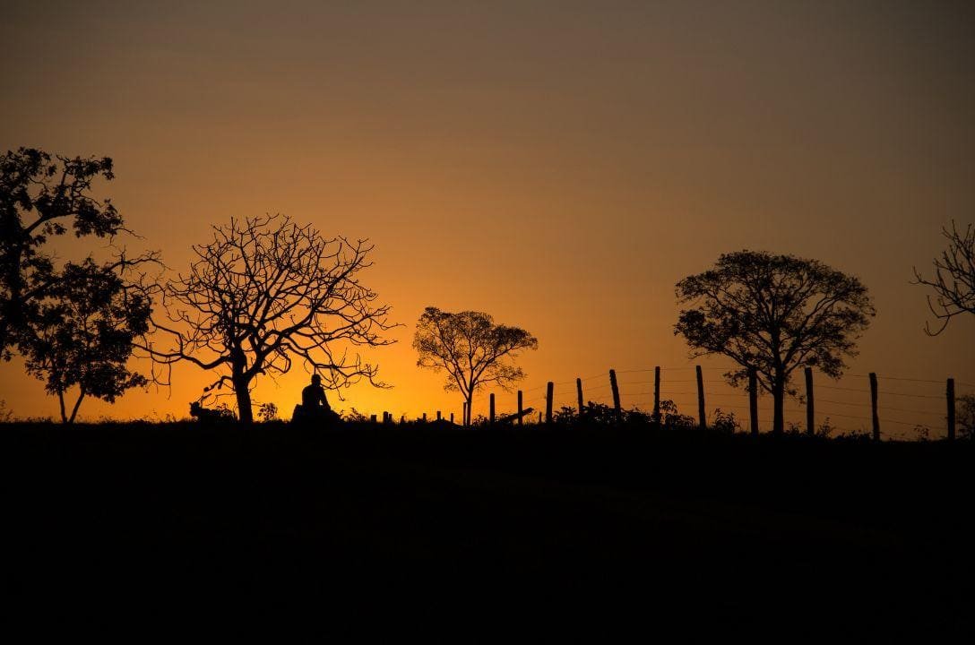 Hoje é o dia do Cerrado, o guardião da biodiversidade que clama por proteção