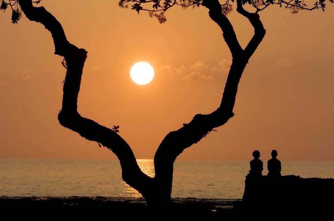 Hoje o dia e a noite têm o mesmo tempo – Saiba o porquê