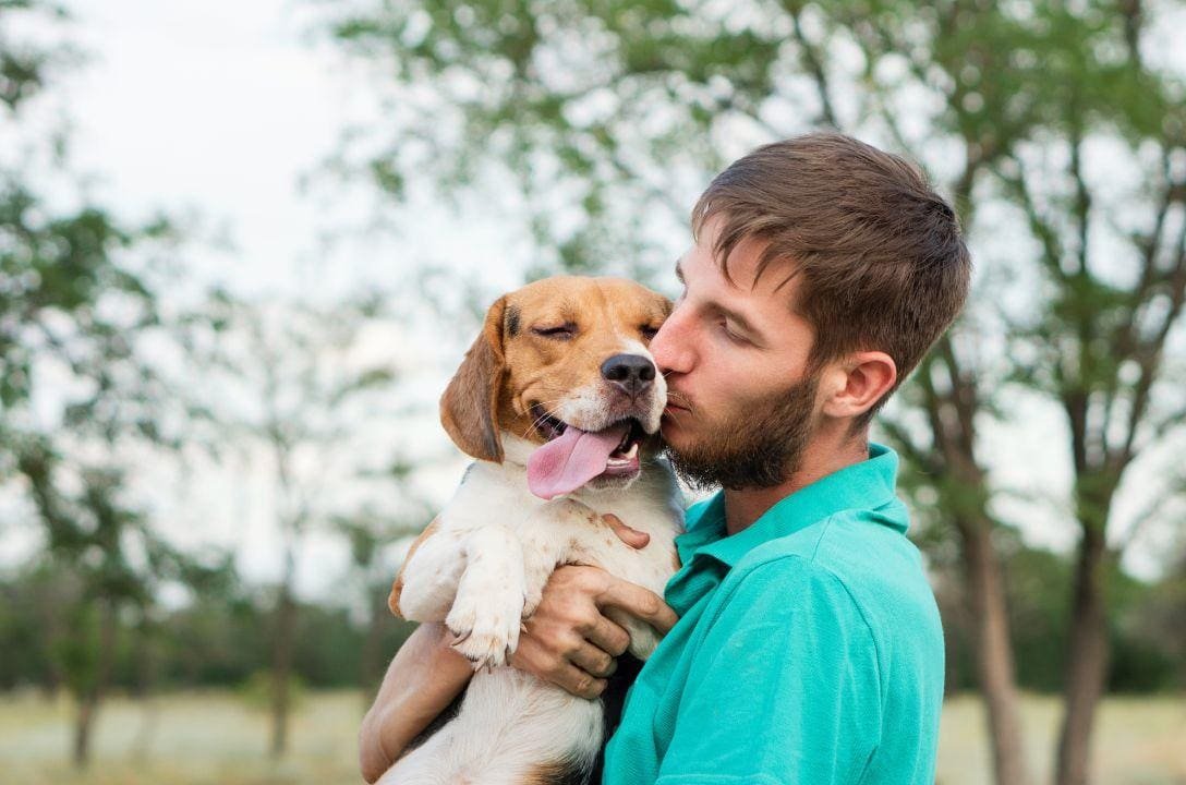 Homens que amam cães são mais afetuosos e melhores parceiros