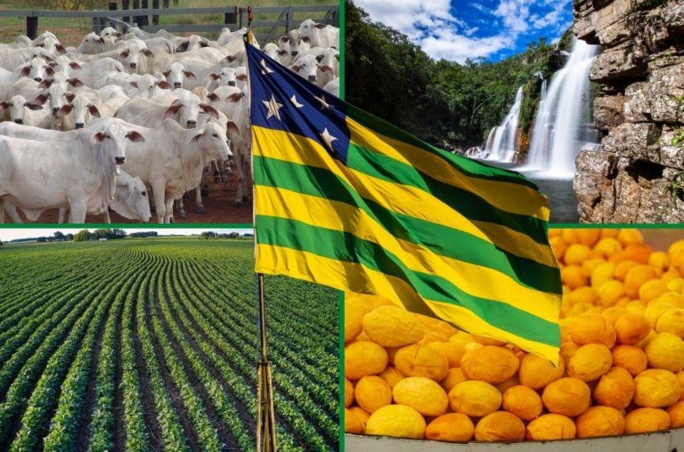 Já imaginou se Goiás fosse um país? Seria uma potência global?