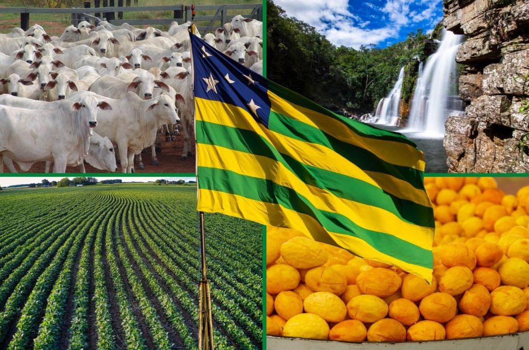 Já imaginou se Goiás fosse um país? Seria uma potência global?